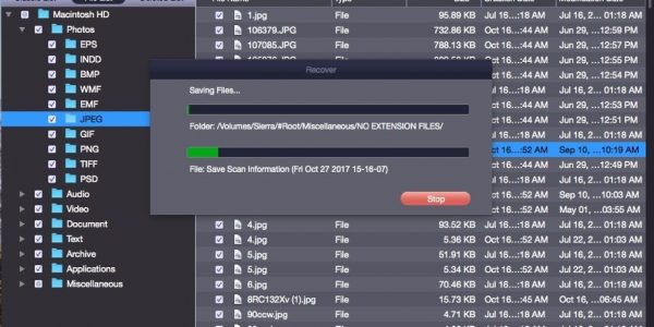Finally, allow the software to save all the retrieved data to the provided destination.